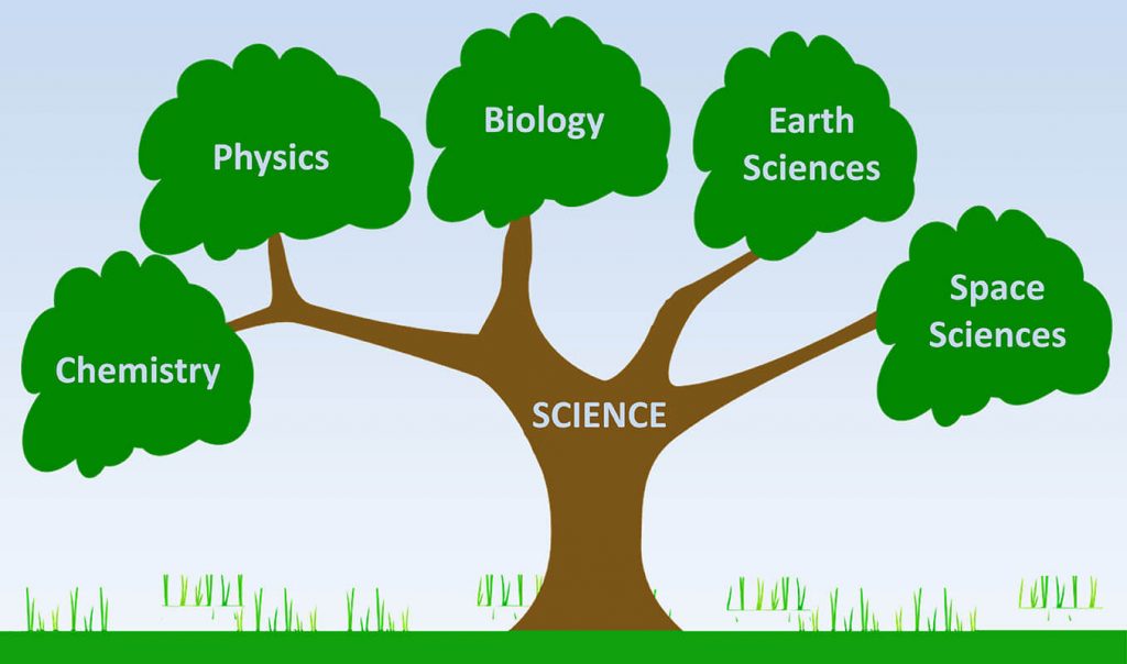 Image result for branches of science