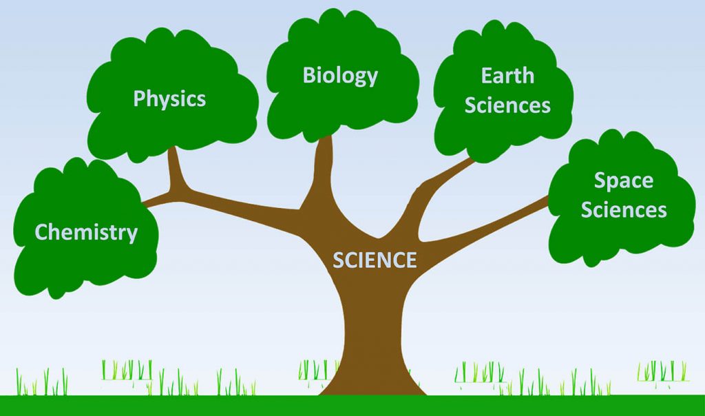 Different Fields Of Natural Science