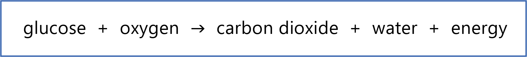 Word Equation For Anaerobic Respiration In Plants And Microorganisms